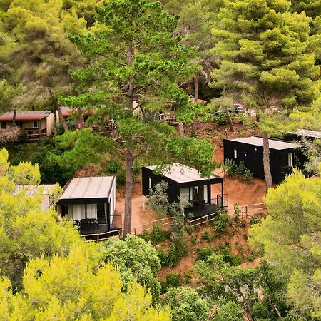 Le Pianacce Camping Village Castagneto Carducci Ngoại thất bức ảnh