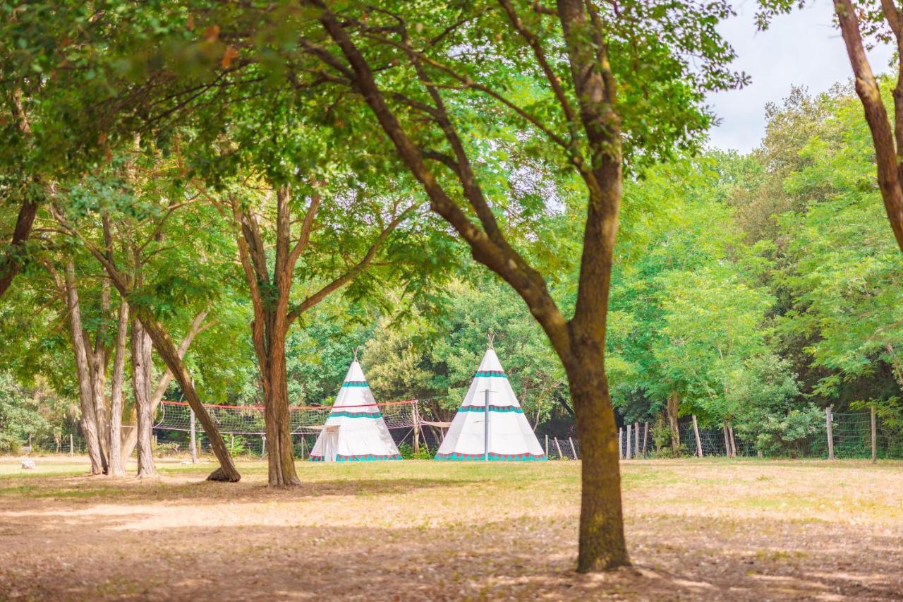 Le Pianacce Camping Village Castagneto Carducci Ngoại thất bức ảnh